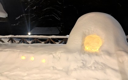 かたくりの花　かまくらライトアップ