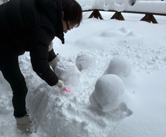 かたくりの花　かまくらライトアップ
