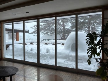 かたくりの花　テラスかまくら