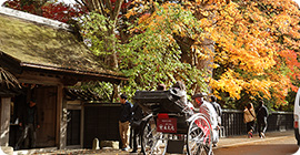 写真：角館武家屋敷