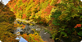 写真：抱返り渓谷